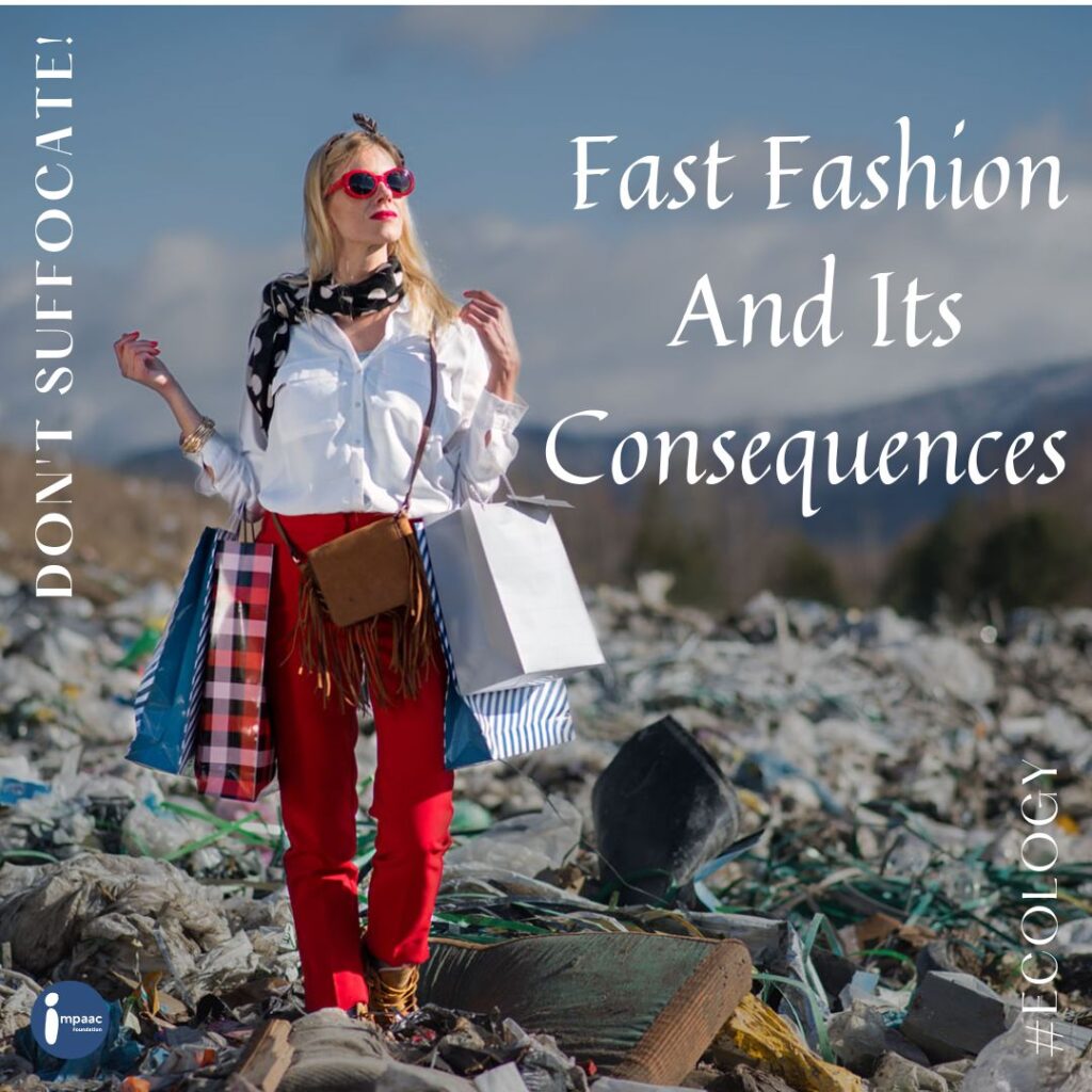Fast Fashion And Its Consequences →