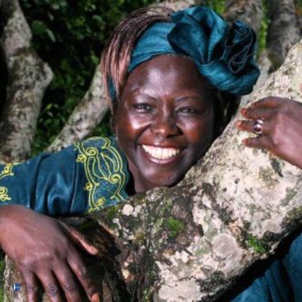 Wangari Maathai’s Life and Lessons → Impaac Foundation